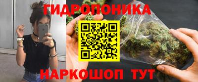 крисы Рязань
