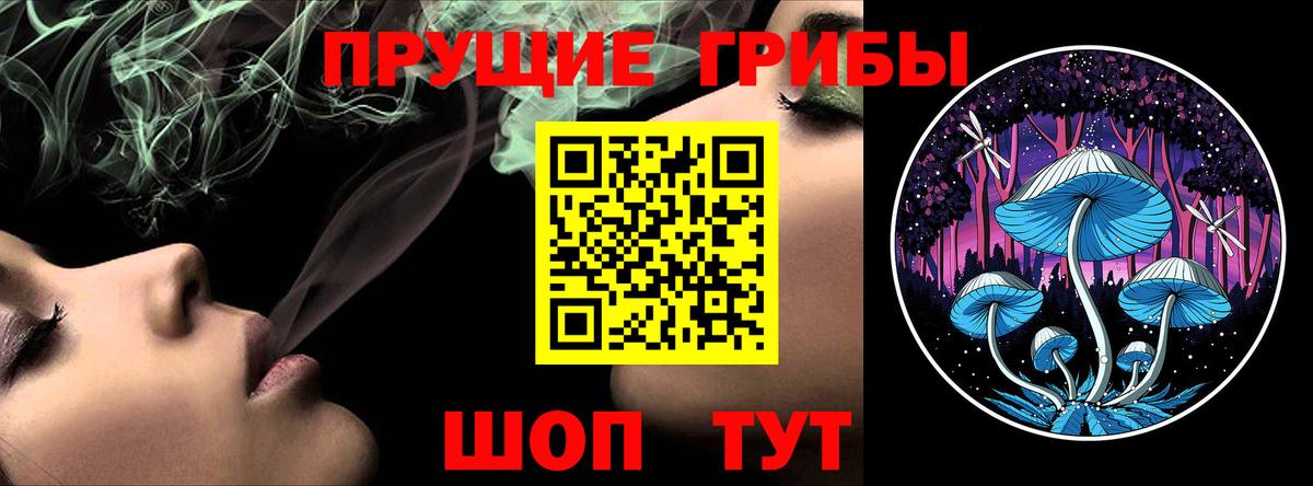 Псилоцибиновые грибы мухоморы  Вход с VPN  Тверь  Псилоцибиновые грибы Psilocybine cubensis 