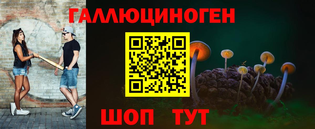 Псилоцибиновые грибы Cubensis Тверь